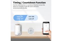 China Tuya 10A 16A Wifi Switch Smart Breaker Module APP Remote Control Switch supplier