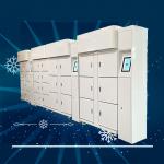 China Winnsen Smart Refrigerated Fresh Food Package Storage Delivery Locker manufacturer
