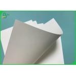 790mm Width 185gsm 235gsm PE Coated Cup Paper For Hot Coffee Cups