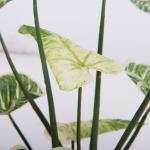 SGS Artificial Potted Floor Plants High Simulation Plastic Philodendron Birkin