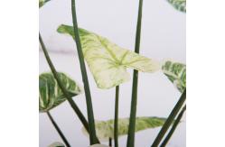 China SGS Artificial Potted Floor Plants High Simulation Plastic Philodendron Birkin supplier