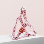 Pet Printed Harness Medium And Large Dogs Anti Breakaway Vest Style Leash for sale