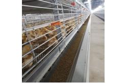 China Enriched 3-8 Tiers Baby Chick Cage For Day Old Layer Chicks supplier