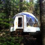 Diameter 6m Glamping Igloo Tent Round Transparent Luxury Giant for sale