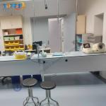 Streamline Your Lab With Steel Laboratory Wall Bench Length*W750*H850mm Customizable for sale