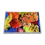 10.1 inch HSD100IFW1-A02 netbook LCD LED Screen Display Panel for sale