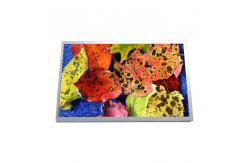 China 10.1 inch HSD100IFW1-A02 netbook LCD LED Screen Display Panel supplier
