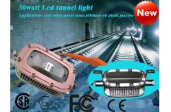 China 30W Waterproof Explosion Proof Led Flood Light 3000 Lumens For Oil Plant supplier