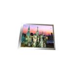 F060A39-6T2 6.0 inch lcd Screen 1170*2532 lcd panel for sale