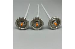 China High-Performance Carburetor Cleaning Valve for Automotive Maintenance supplier