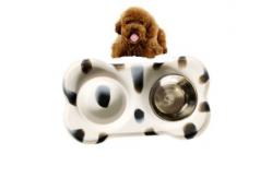 China Adjustable 26x45cm Pet Food Feeder supplier