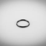 LIGHTWEIGHT PUMP SILICON CARBIDE GASKET RING IN AUTOMOBILE INDUSTRY