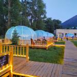 Round PC Aluminium See Through Bubble Tent For Outdoor Camping And Events for sale