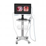 TUYOU 24 Inch UHD All In One Rigid & Flexible Endoscopic Camera For Endometrial Surgery for sale