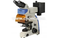 China Binocular Epi - Reflected Led Fluorescence Microscope Light Source A16.2701 supplier