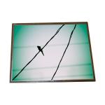 HSD104JXN1-B10 10.4 inch 1024(RGB)×768 lcd Screen panel For Automotive Display for sale