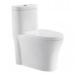 China American Standard Comfort Height White Bathroom Toilet With Powerful Dual Flush manufacturer