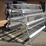 Hot Galvanized A Type Poultry Cage New Design Big Size for sale