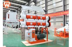 China Two Layer Modulator Animal Feed Pellet Making Machine , Livestock Poultry Pellet Machine supplier