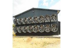 China 46000m3/H Chicken Farm Industrial Ventilation Fan 1270mm Poultry Control Shed System supplier