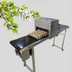 50 / 60 HZ Egg Inkjet Printer / Egg Marking Equipment With Touch Screen for sale