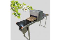 China 50 / 60 HZ Egg Inkjet Printer / Egg Marking Equipment With Touch Screen supplier