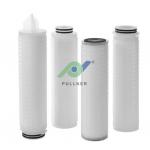Beverage Pharmaceutical PES Filter Cartridge 10 Length for sale