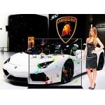 Thin And Light Transparent OLED Display 55 Size Panel Low UV Output for sale
