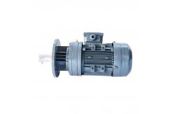 China OEM Horizontal Cycloidal Gear Reducer Electric Motor For Architectural Industry supplier
