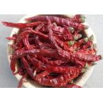 China Guizhou Mantianxing Millet Pepper Dry Chili Hot Pot Seasoning Raw Material Spices factory