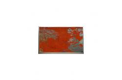 China New 12.1 inch TCG121WXLBABNN-AN20-SA 1280*800 Resolution LCD Display Panel supplier