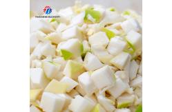 China Steric Circle Knife Set Vegetable Processing Machine Potato Cutting Input Funnel supplier