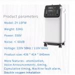 Full Intelligent portable Nebulizer Oxygen Machine generator 10 Liter for sale