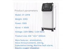 China Full Intelligent portable Nebulizer Oxygen Machine generator 10 Liter supplier