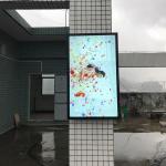 Wall Mounted Waterproof Digital Signage IP66 LCD 55