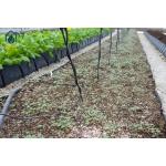 Plastic Hydroponic Tomato Planting Trough PP Roll Black White For Soilless Cultivation