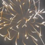 Chinese Professional Display Firework Mortar Artillery Shell Pyrotechnics Supplies 6 Inch Display Shells 2024 for sale