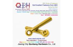 China QBH Brass Copper Lifting Eyelet Knuckle Fish-Eye Bolt Fish Eye Fisheye Screw supplier