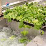 Silver Fruit And Vegetable Peeler Machine Model and Durable
