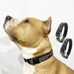Black Flashing Luminous Dog Collar Custom S M L LED Light Up Dog Collar for sale