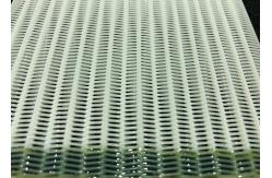 China Papermill Industry Polyester Mesh Belt supplier