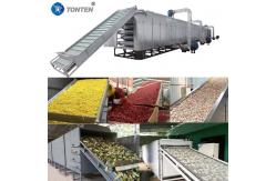 China Vegetable Cassava Belt Dryer Medicinal Drying Machine Automatic supplier
