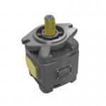 HG1 Fixed Displacement Hydraulic Internal Gear Pump HG1-25 HG1-32 HG1-40 HG1-50 HG1-63 for sale