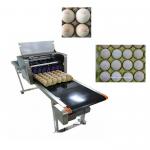 High Analytical Ink Cartridge Batch Number Printing Machine For Eggs