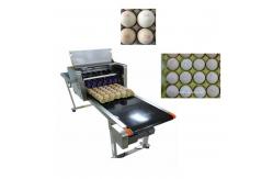 China High Analytical Ink Cartridge Batch Number Printing Machine For Eggs supplier