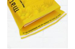 China Self Sealing Colored PBAT PLA Biodegradable Poly Mailers supplier