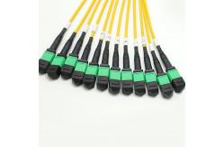 China 1M MPO Fanout Cable supplier