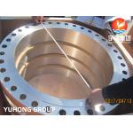 Duplex Steel Flange ASTM A182 F51 UNS S31803 Seawater Treatment Systems for sale