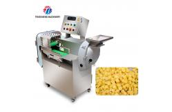 China 304 Stainless Steel Vegetable Processing Machine Double Head Cabbage Dicing Equipment supplier