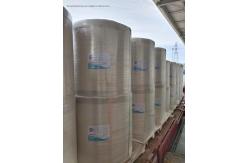China Various Models Jumbo Thermal Paper Roll Bpa Free Compatible With Compatible Model supplier